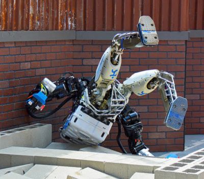 Tại sao robot hình người liên tục rơi trong khi con người hiếm khi làm vậy?