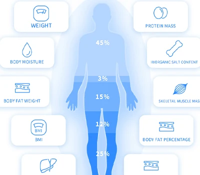 Ngoài quy mô: Insbody vs Xianku3d - Cuộc chiến để hiểu biết về cơ thể trong không gian thương mại
