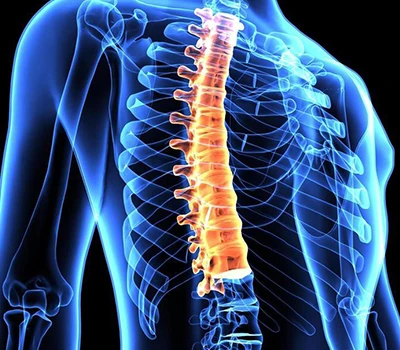 Sửa cột sống: Làm thế nào máy quét cơ thể Xianku3D đang biến đổi chăm sóc sức khỏe cột sống